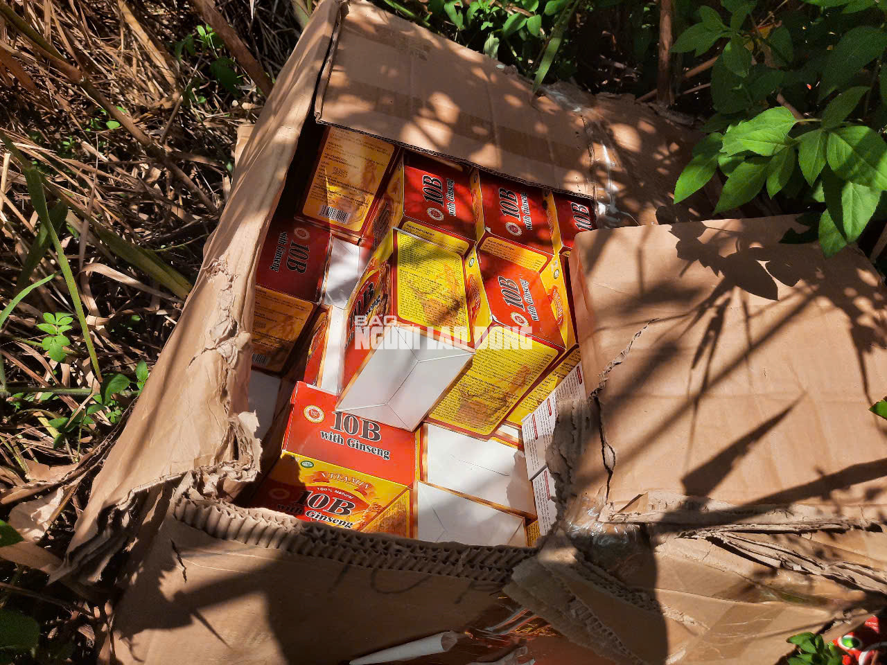 Phát hiện số lượng lớn thuốc, thực phẩm chức năng bỏ ở Bình Chánh - Ảnh 24.