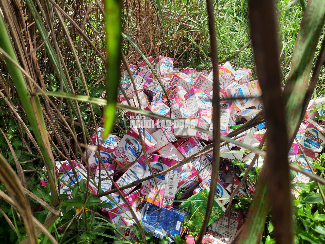 Phát hiện số lượng lớn thuốc, thực phẩm chức năng bỏ ở Bình Chánh - Ảnh 25.