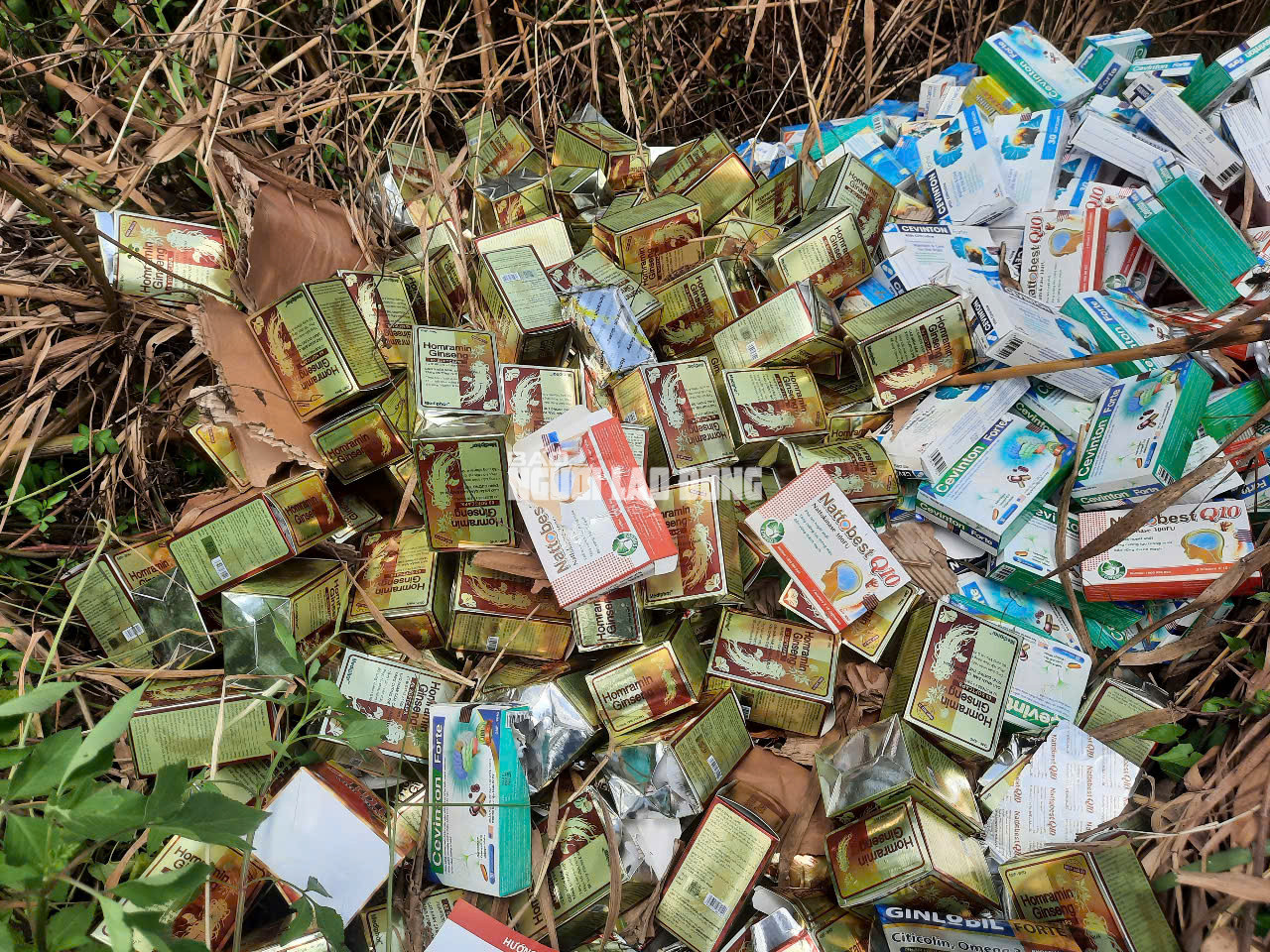 Phát hiện số lượng lớn thuốc, thực phẩm chức năng bỏ ở Bình Chánh - Ảnh 11.