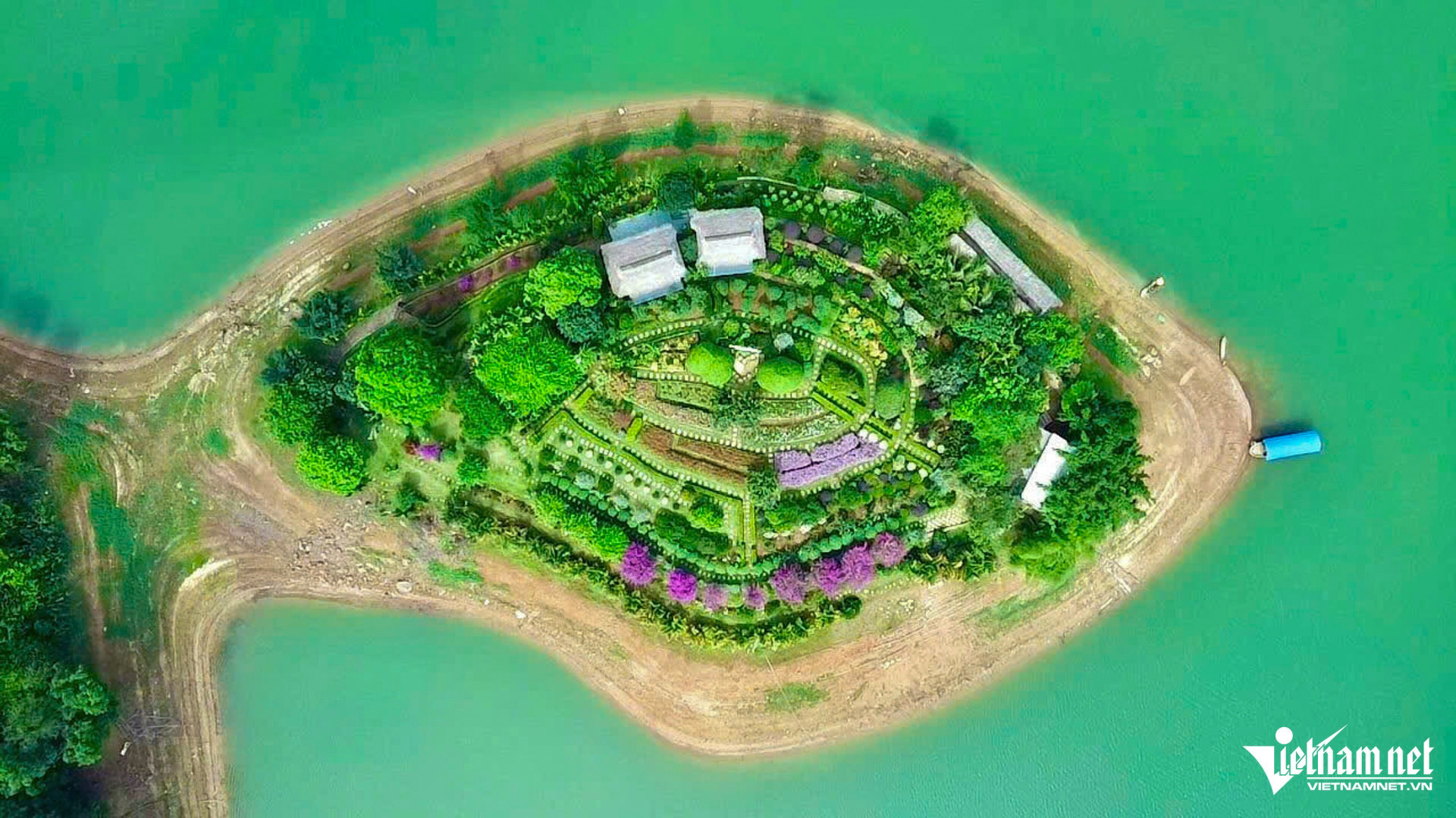 dao hoa thai nguyenjpg 86193.jpg