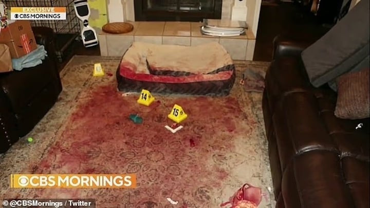 Hiện trường vụ tấn công kinh hoàng.