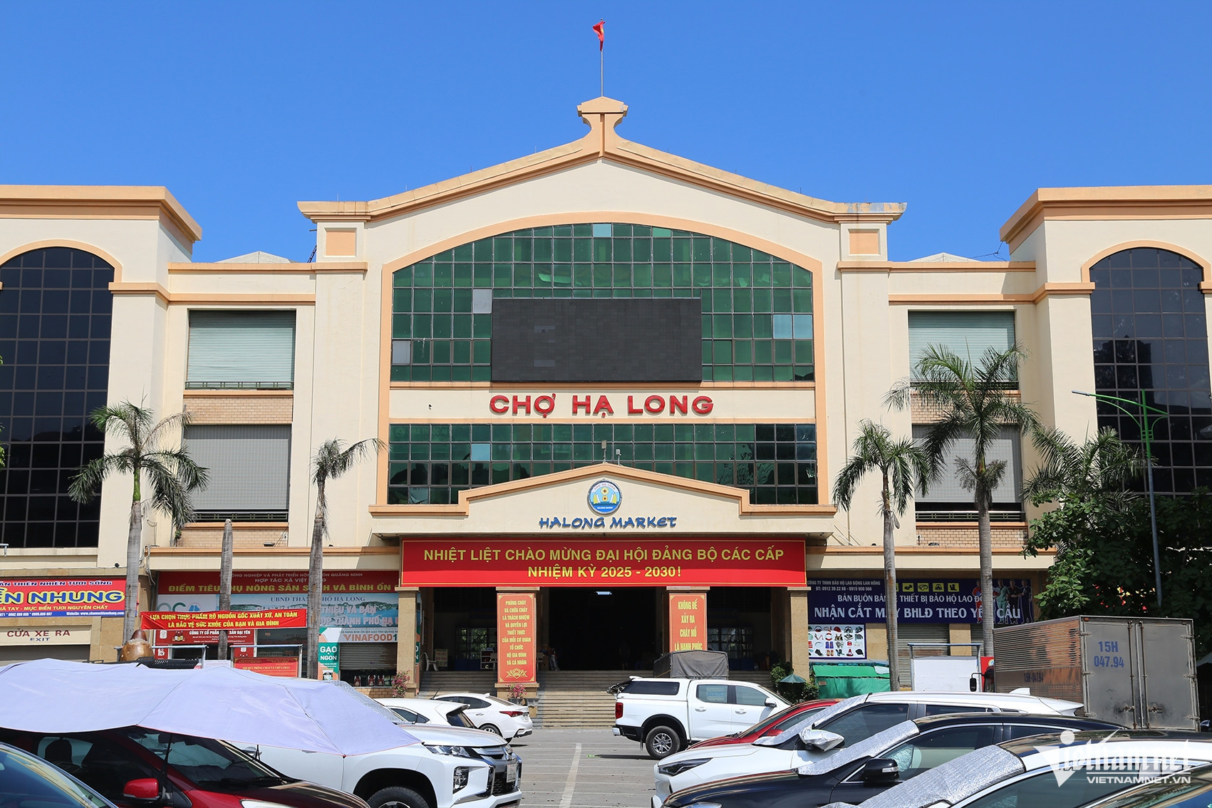 cho lon 4.jpg