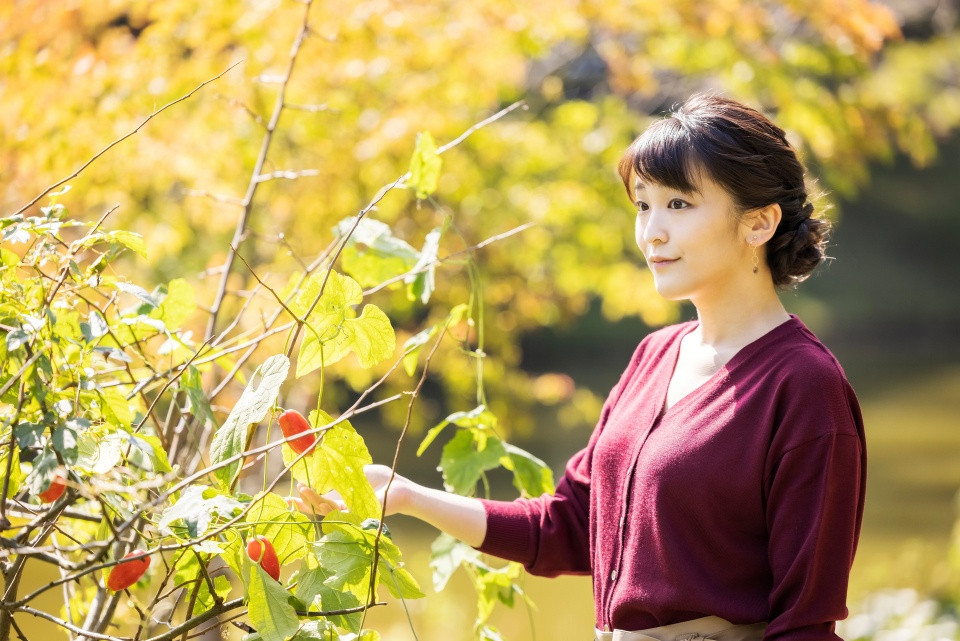 Số phận công chúa từ bỏ tước vị lấy chồng thường dân hiện ra sao sau 4 năm kết hôn, làm người thường?- Ảnh 1.