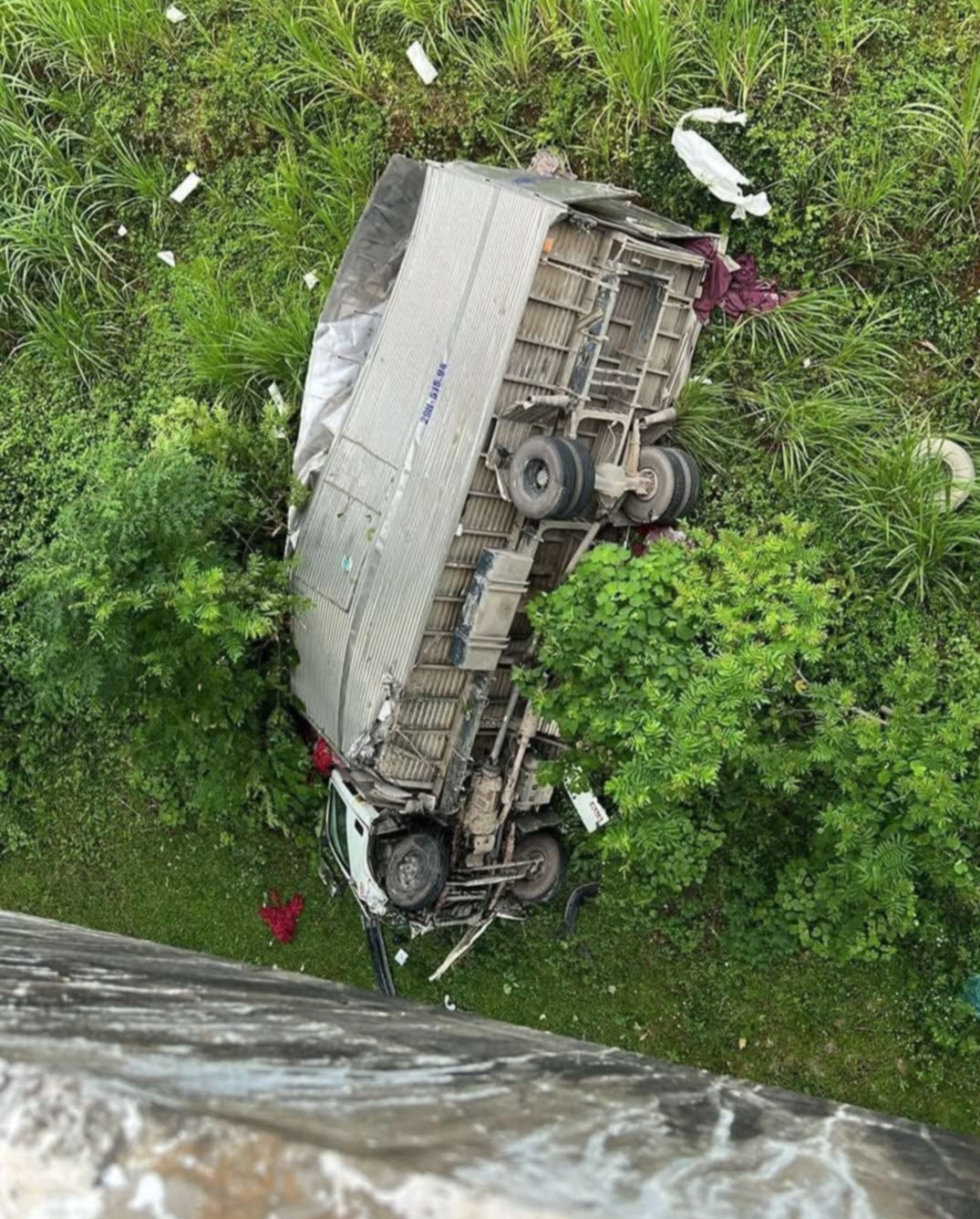 d08482e2 a9bc 4c07 b082 d0068facc58e.jpeg