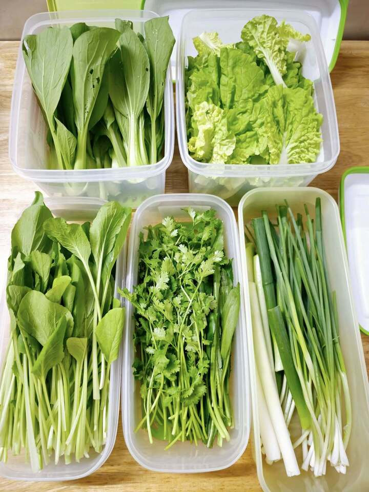 Sơ chế các loại rau trước khi bỏ vào hộp cất trữ. (Ảnh: Hue Nguyen)