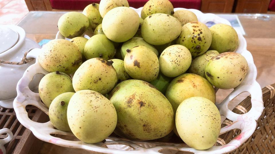 quả mắc chai   quỳnh chi.jpg