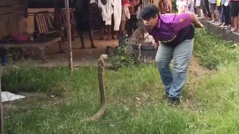 Người đàn ông tay không bắt rắn cực độc, dân làng thấy cảnh tượng đáng sợ- Ảnh 1.