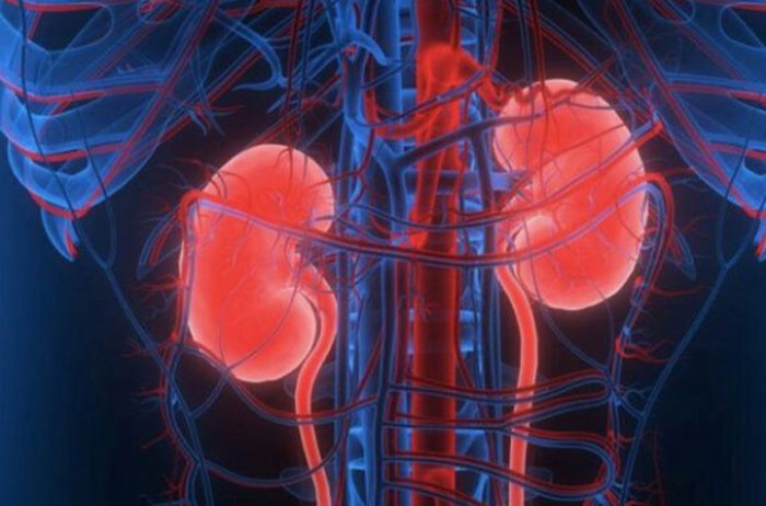 Người thức khuya thường xuyên dễ mắc bệnh thận 2 nhóm đối tượng này có nguy cơ cao