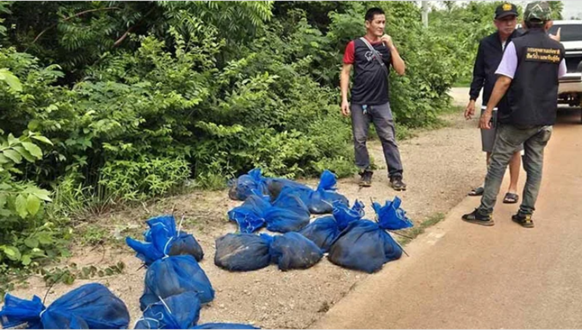 Phát hiện 25 chiếc túi lạ trong rừng, mở ra thấy cảnh tượng