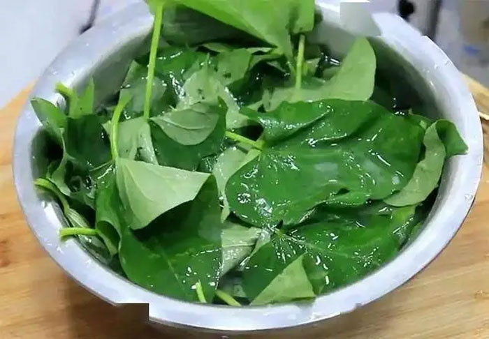 Nghiên cứu phát hiện Thường xuyên ăn rau khoai lang có thể cải thiện 3 loại viêm nhiễm đừng bỏ lỡ