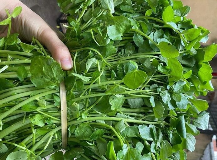 Loại rau tốt nhất thế giới, ở chợ Việt vừa nhiều vừa rẻ- Ảnh 3.