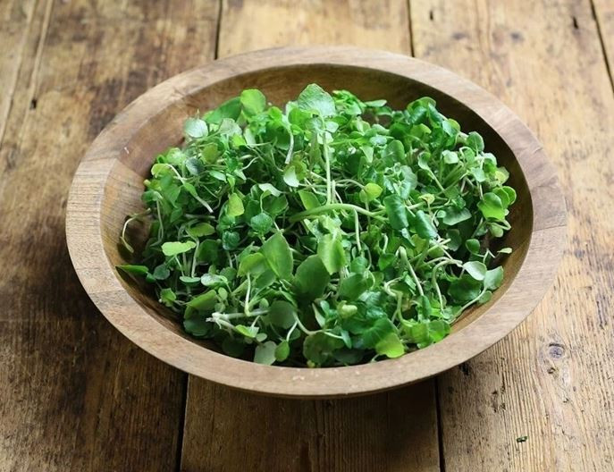 Loại rau tốt nhất thế giới, ở chợ Việt vừa nhiều vừa rẻ- Ảnh 1.