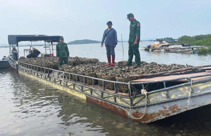 Lực lượng biên phòng phát hiện, bắt giữ Lý Văn Xuân có hành vi chở lậu khoảng 4 tấn hàu từ Trung Quốc về Quảng Ninh.