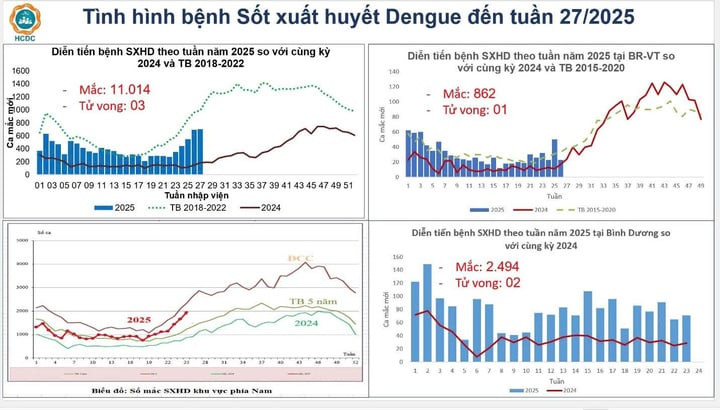 Sốt xuất huyết tăng mạnh tại TP.HCM giữa mùa mưa. (Nguồn: HCDC)