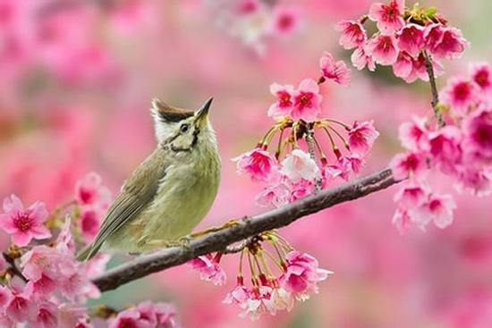 Sinh đúng ngày, số mệnh đổi khác: Ngày sinh Âm lịch của người bản lĩnh, vững vàng trước nghịch cảnh- Ảnh 3.