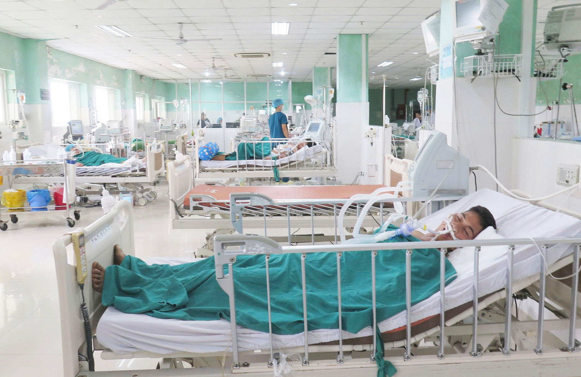 Ngộ độc cà   2.jpg