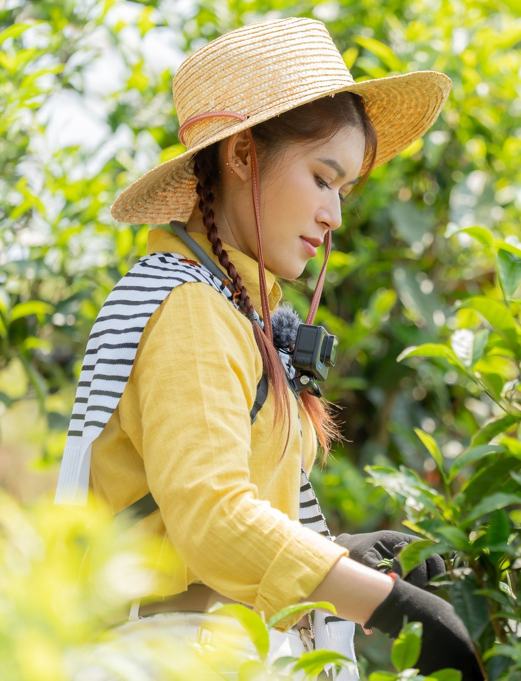 ngoc-thanh-tam-9.jpg