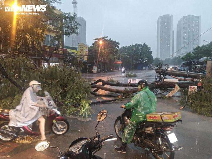 Dông gió quật đổ cây xanh tại ngã tư Nam Từ Liêm.