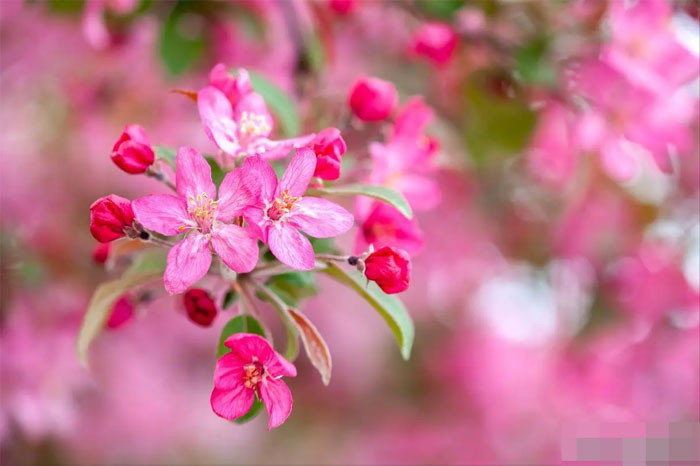 Trong hai tháng tới tin vui ập đến 4 con giáp tài lộc thịnh vượng sự nghiệp thuận lợi cuộc sống ngày càng tốt đẹp