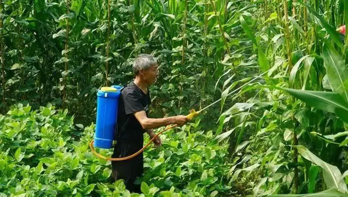 Bác sĩ cảnh báo 4 thói quen âm thầm hủy hoại tuyến giáp nhiều người thường xuyên làm mà không biết