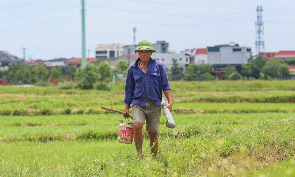 Gồng mình mưu sinh giữa