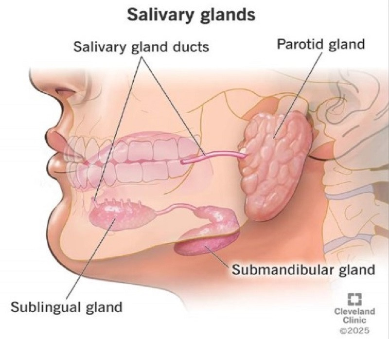 Đi khám định kỳ, người đàn ông 54 tuổi tình cờ phát hiện u tuyến nước bọt- Ảnh 2.