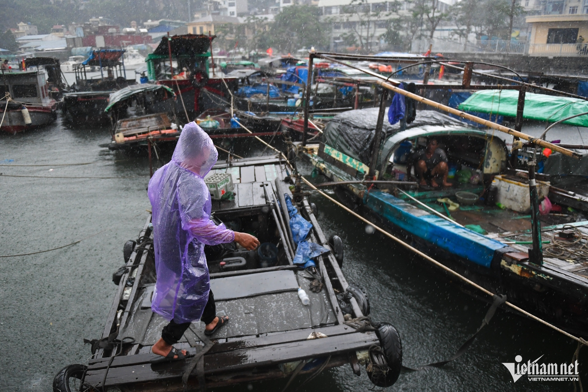 W-Bao Wipha   Quang Ninh 14.jpg