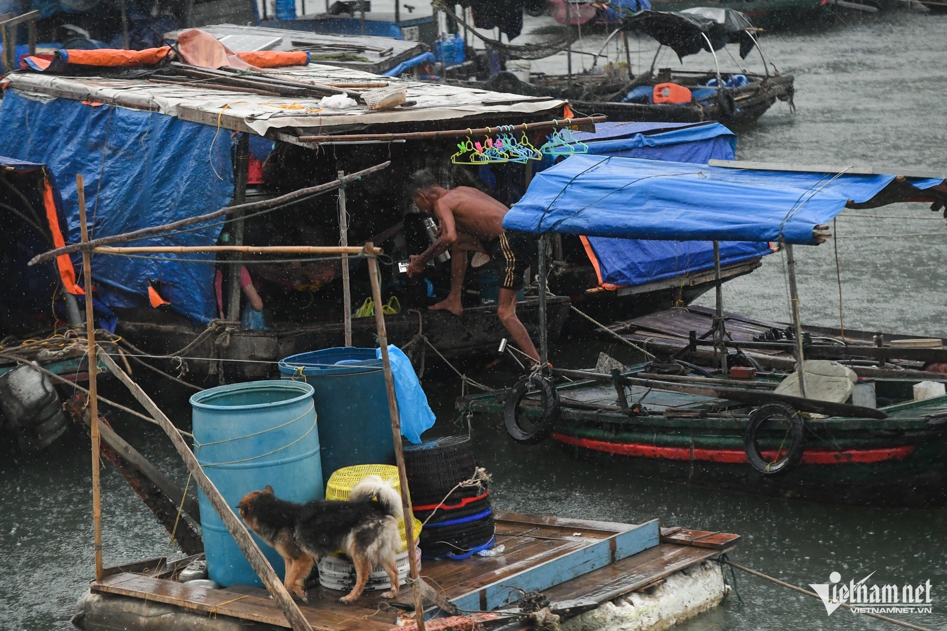 W-Bao Wipha   Quang Ninh.jpg