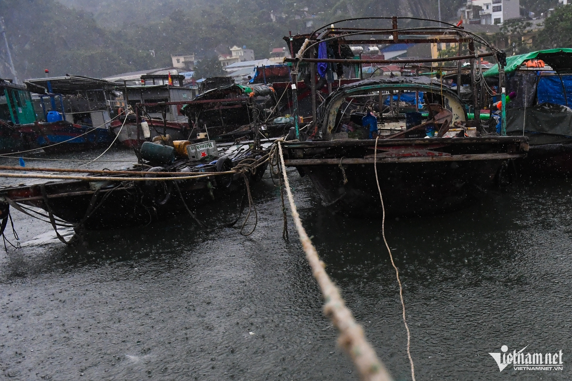 W-Bao Wipha   Quang Ninh 7.jpg