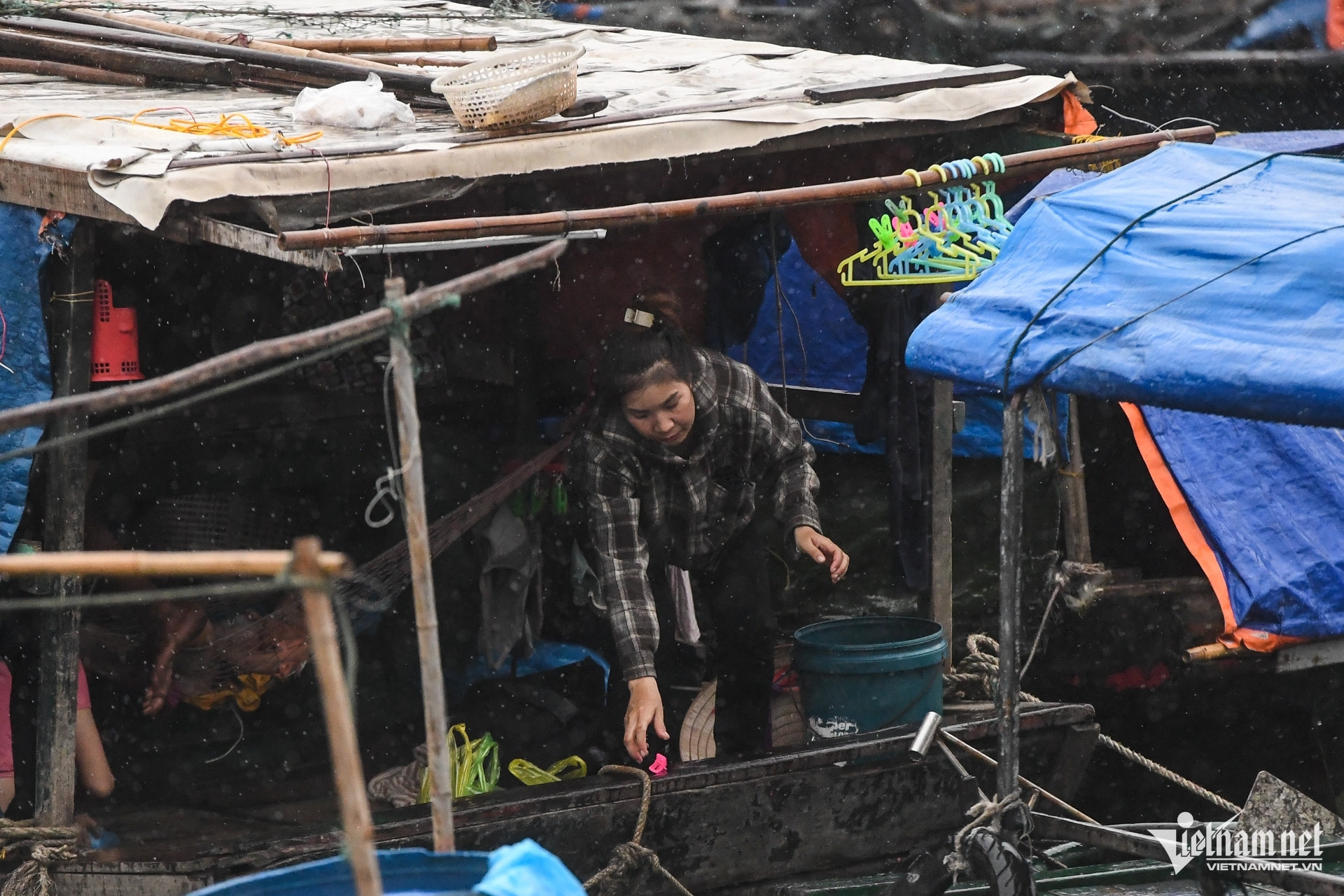 W-Bao Wipha   Quang Ninh 2.jpg