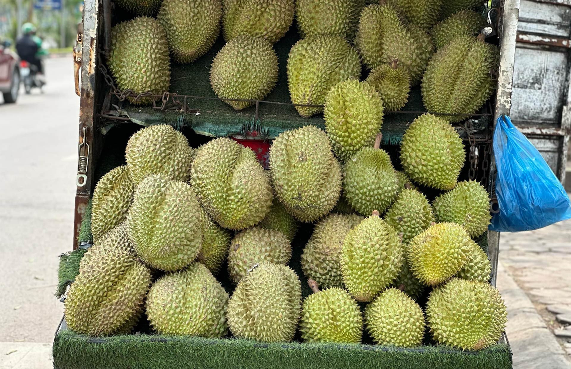 sau rieng 92596.jpg