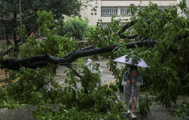 Nhiều cây cối bị đổ chắn ngang đường khiến người dân đi lại khó khăn sau khi bão đổ bộ. (Ảnh: Reuters)