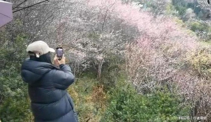 Từ năm 2021 đến nay, Triệu Vy không xuất hiện trong bất kỳ sự kiện công khai nào tại Trung Quốc đại lục. (Ảnh: Sohu)