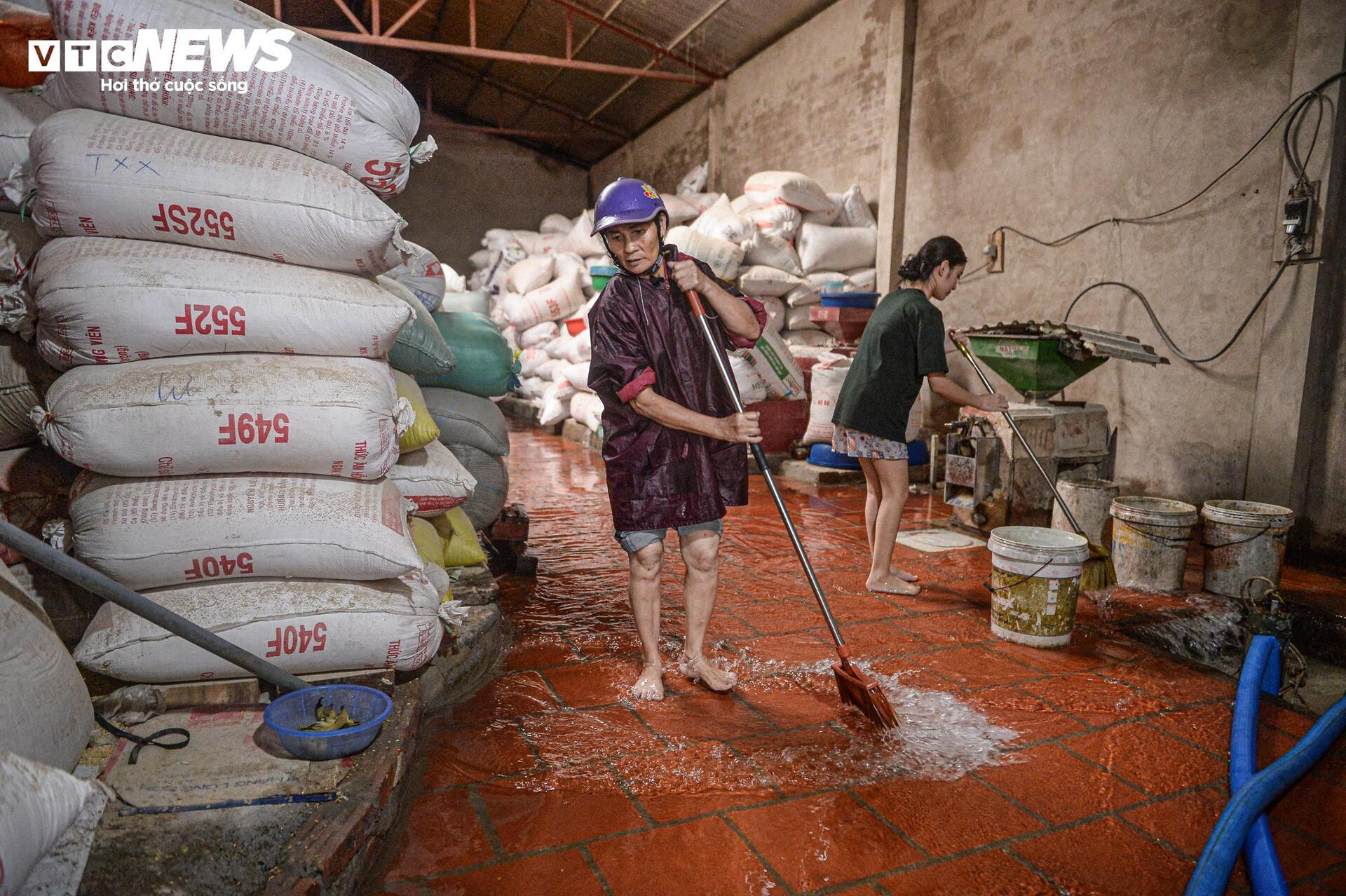 Nước dâng cao gần 1m, người Thanh Hoá vội vã sơ tán đồ đạc, đưa lợn đi tránh lũ - 14