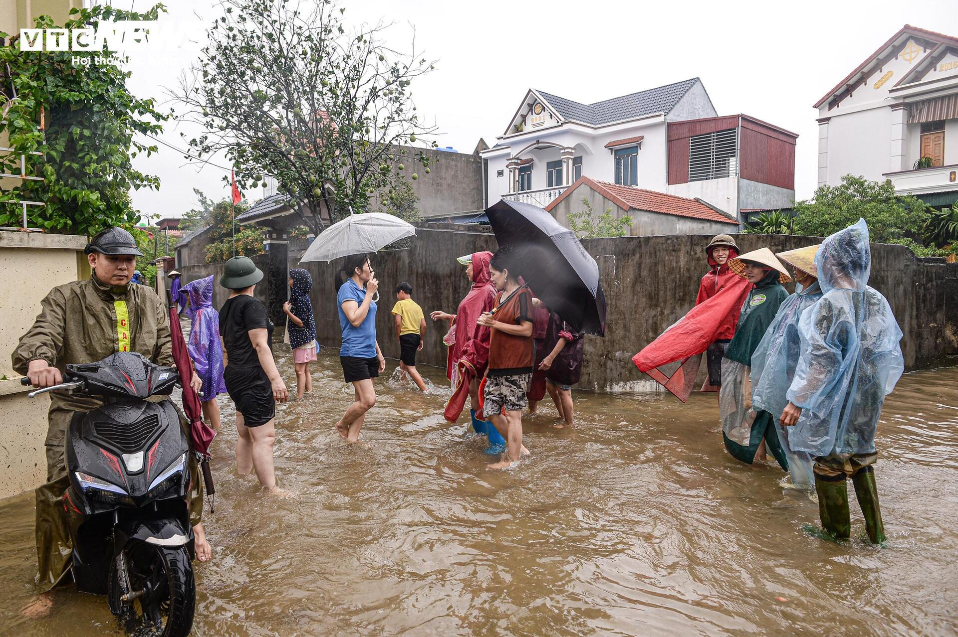 Nước dâng cao gần 1m, người Thanh Hoá vội vã sơ tán đồ đạc, đưa lợn đi tránh lũ - 1