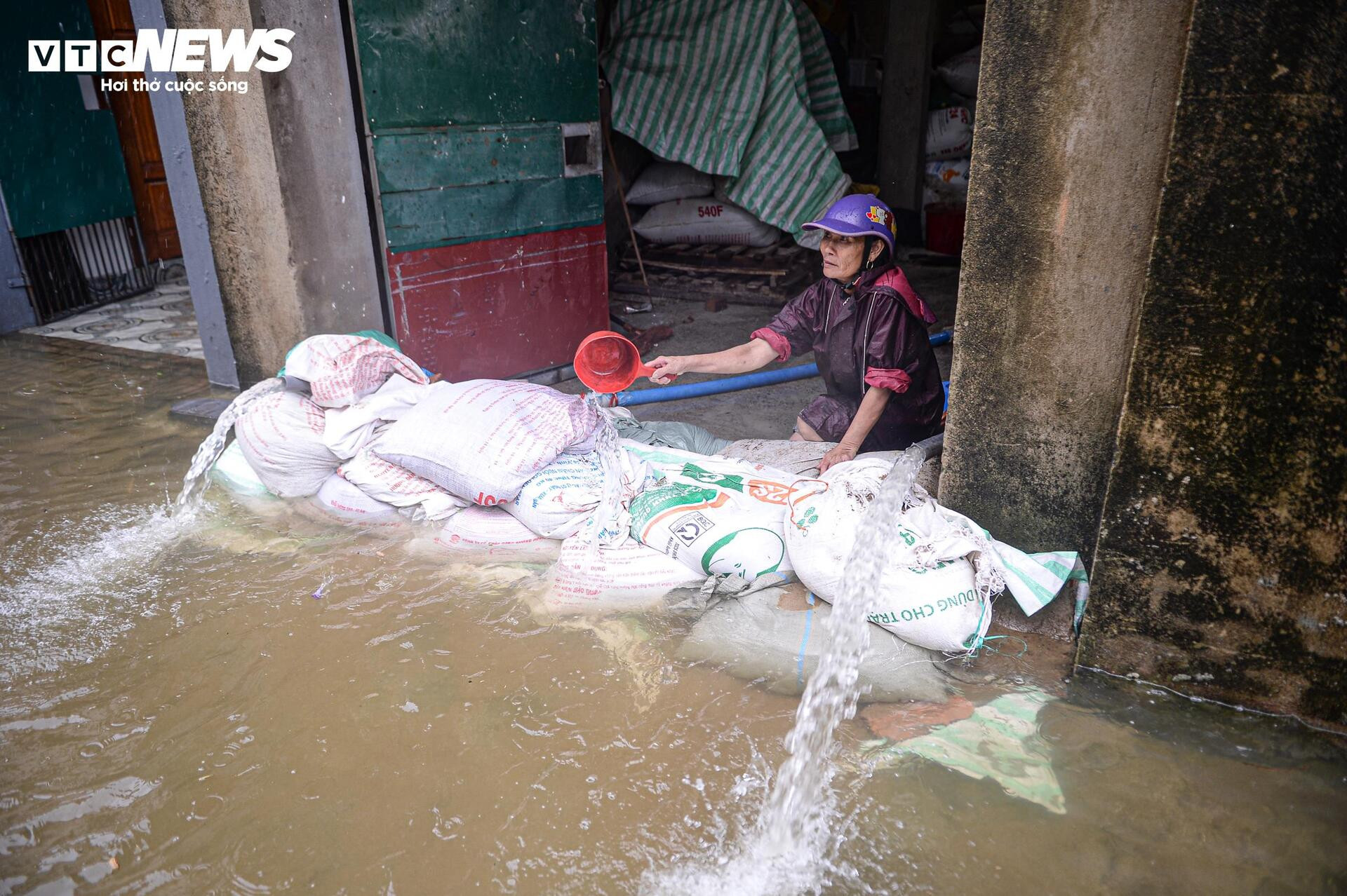 Nước dâng cao gần 1m, người Thanh Hoá vội vã sơ tán đồ đạc, đưa lợn đi tránh lũ - 13