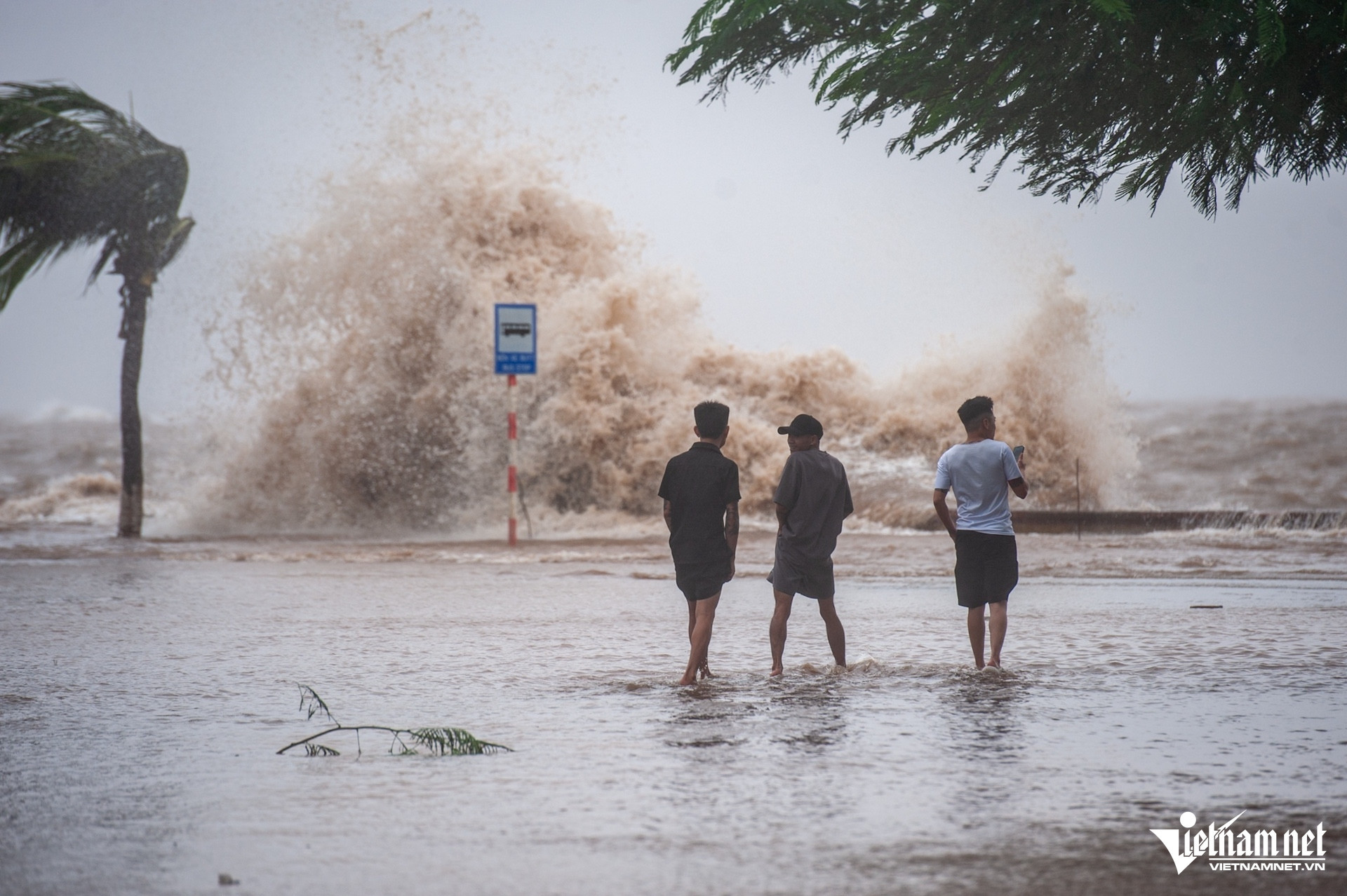 W-ngập đồ sơn 6.jpg