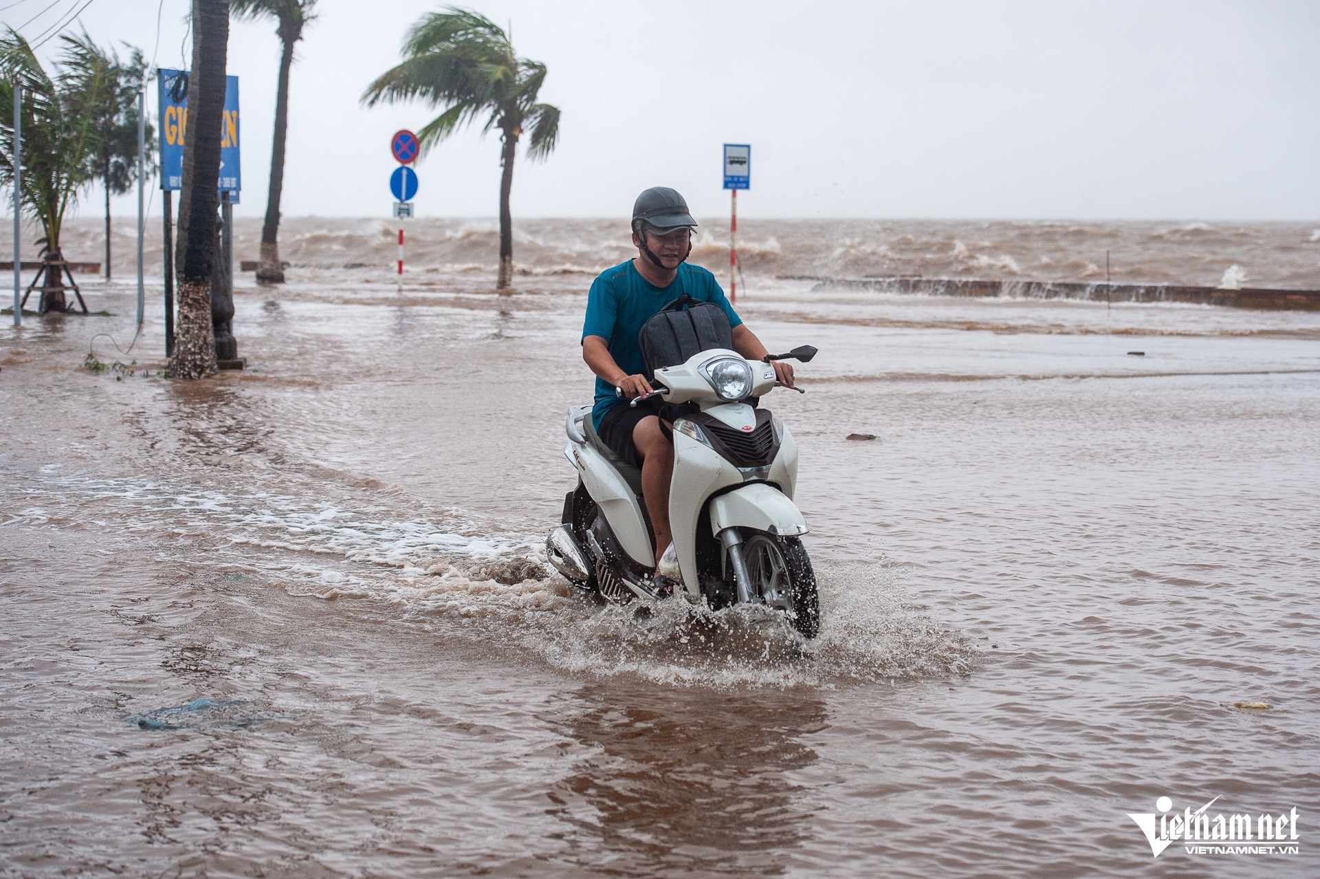 W-ngập đồ sơn 3.jpg