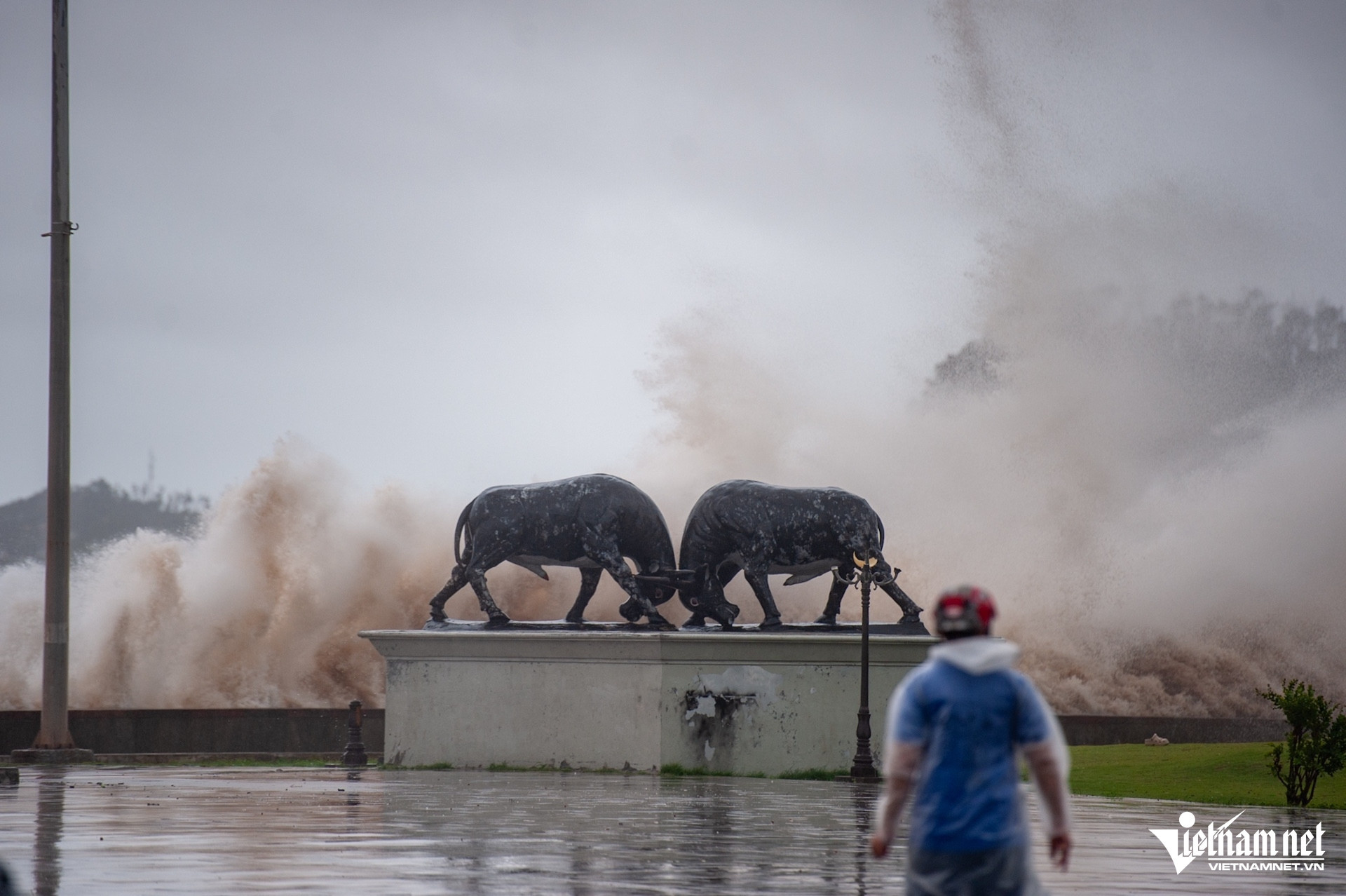 W-ngập đồ sơn.jpg