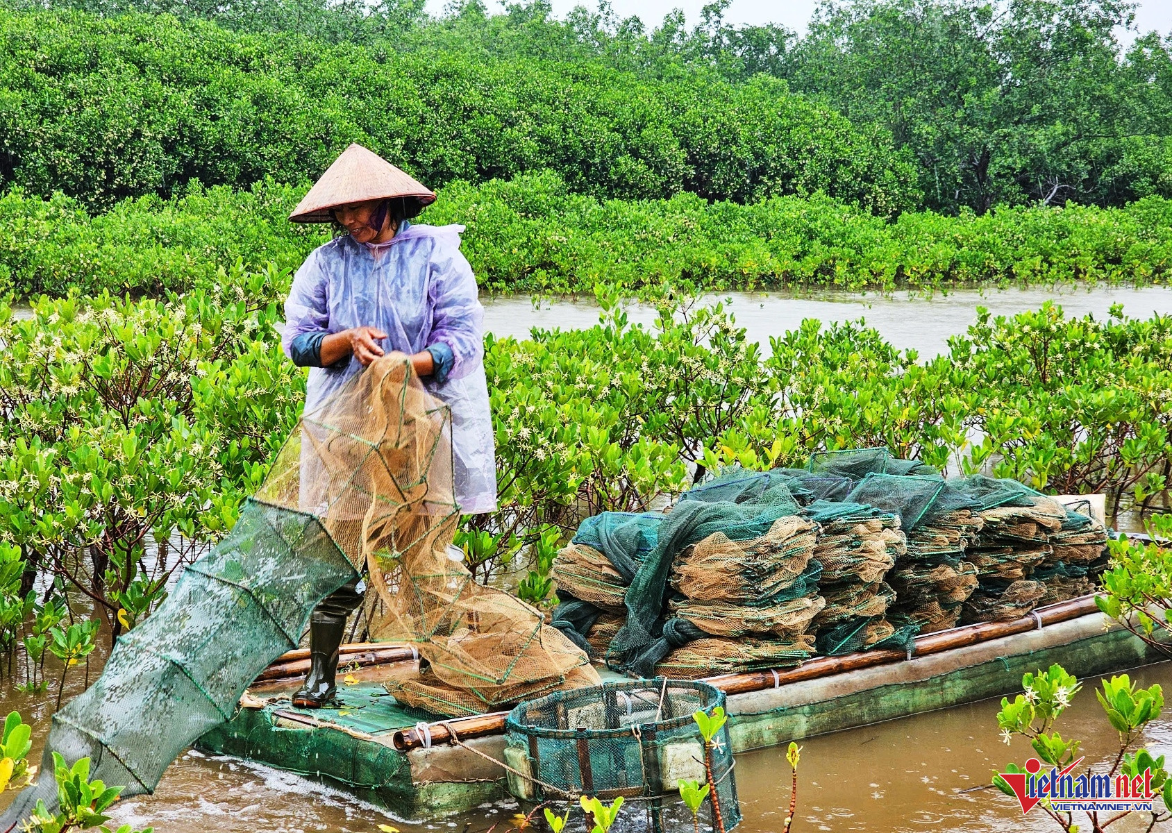 W-Kim Đông 9.jpg