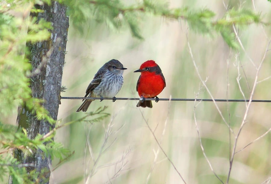 Bí mật 'tháng sinh Âm lịch' của người giỏi giang và sớm thành đạt: Bạn có nằm trong số này?- Ảnh 3.