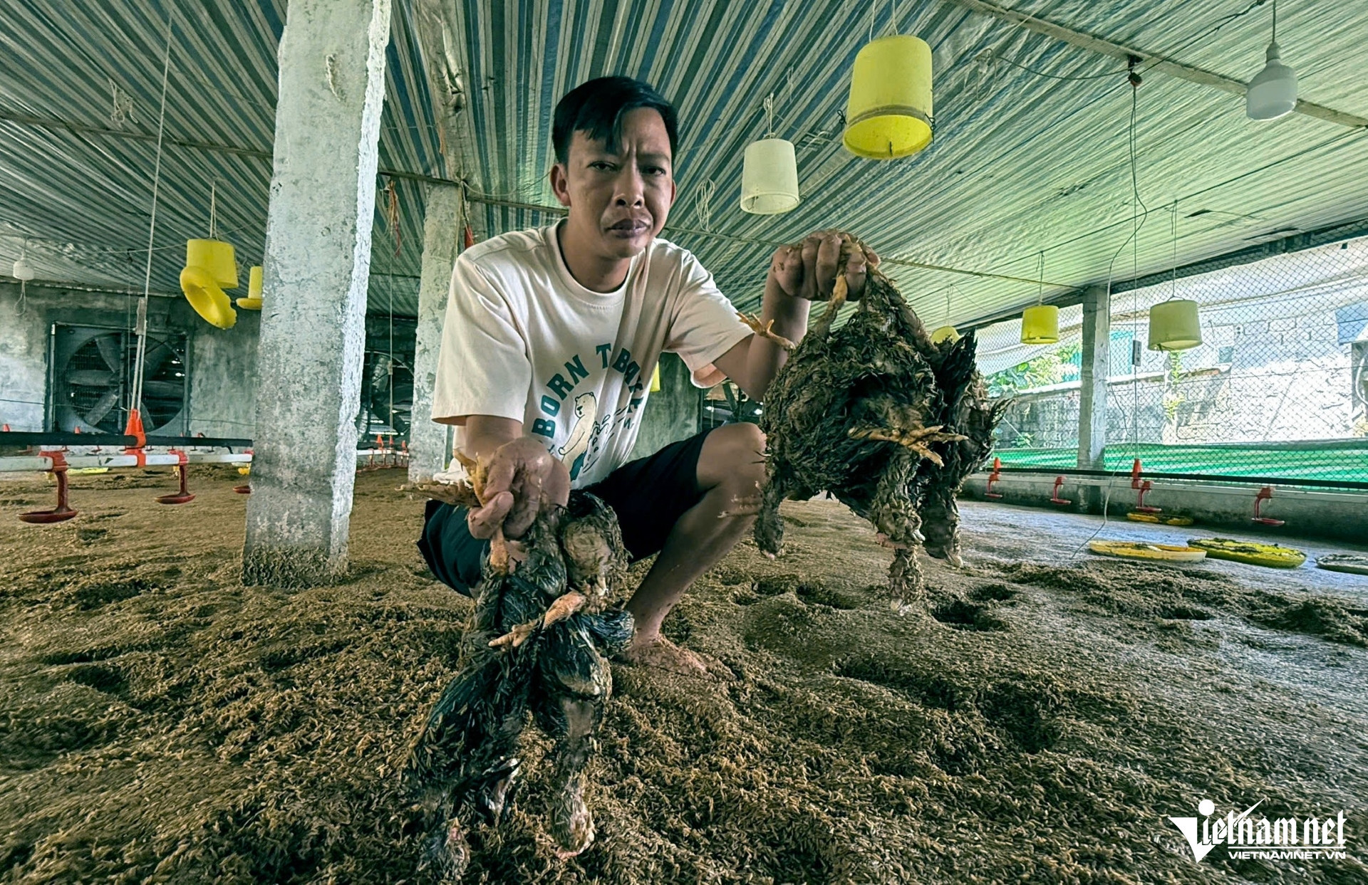 W-a5Vợ chồng ở Thanh Hóa bất lực.jpg