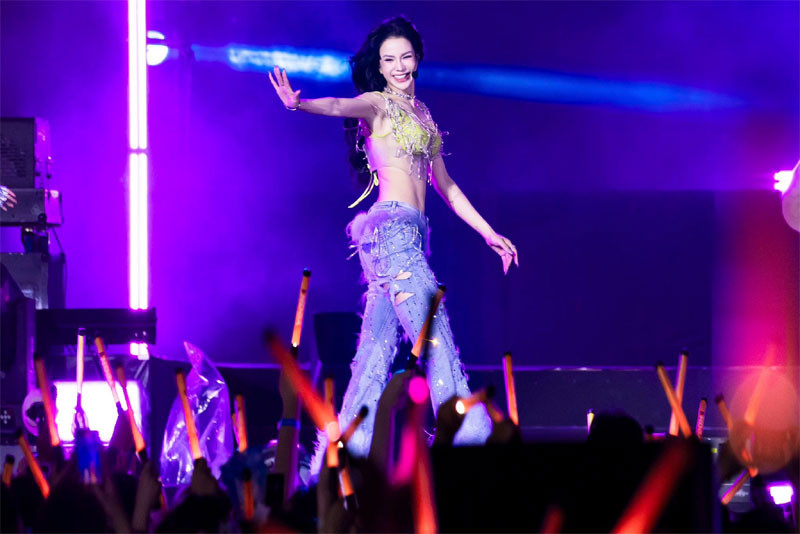 diep lam anh.jpg
