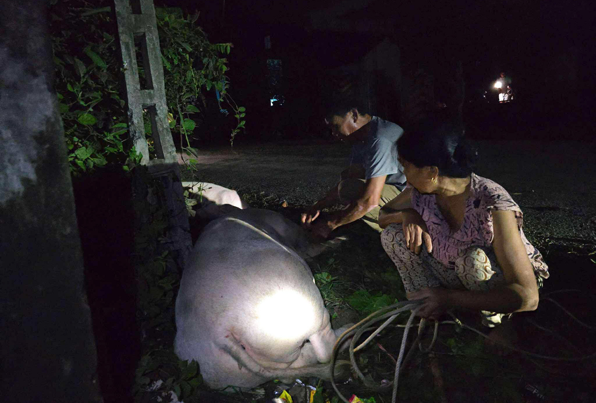 520261374_1403006640909570_3021328531065190641_n copy.jpg