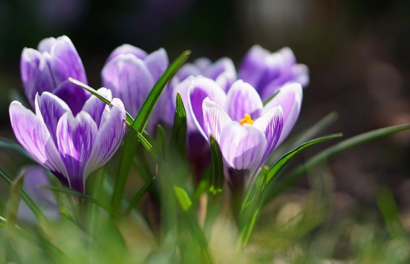 Trẻ sinh vào 4 tháng Âm lịch vượng khí: Càng lớn càng giỏi, tiền tài danh vọng theo về- Ảnh 4.