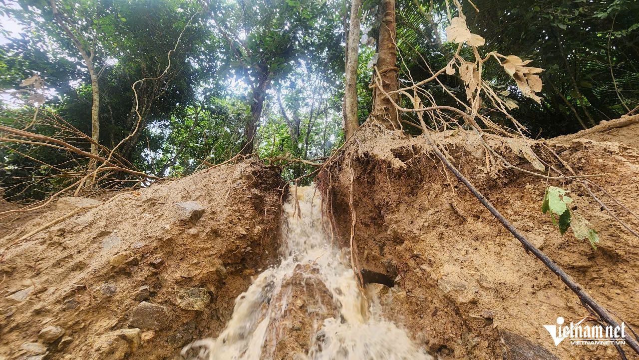 W-Phạm Đức7.jpg