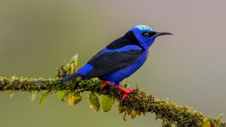 Tháng sinh Âm lịch của người cầu toàn, tỉ mỉ - Ảnh 1.