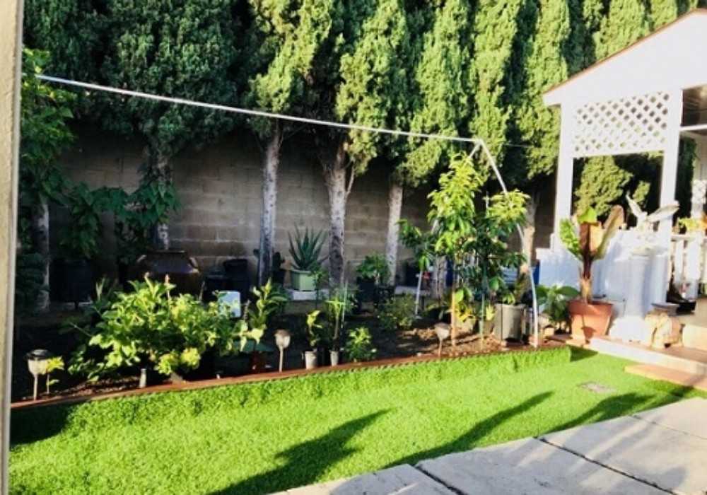 batch_huong lan khoe vuon rau tu trong tai my 8.jpg