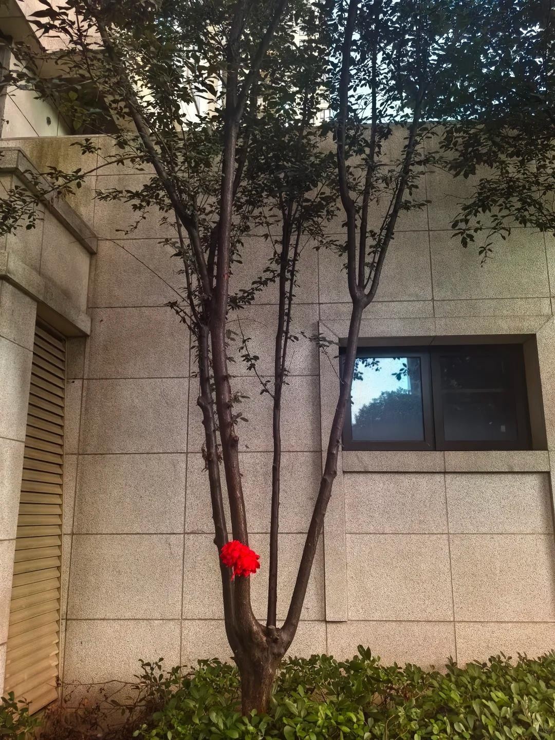 Bé trai 3 tuổi may mắn sống sót sau cú ngã từ tầng 18 chung cư - Ảnh 2.