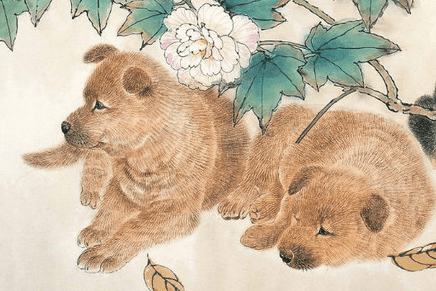 tuat ngoisaovn w436 h374.png